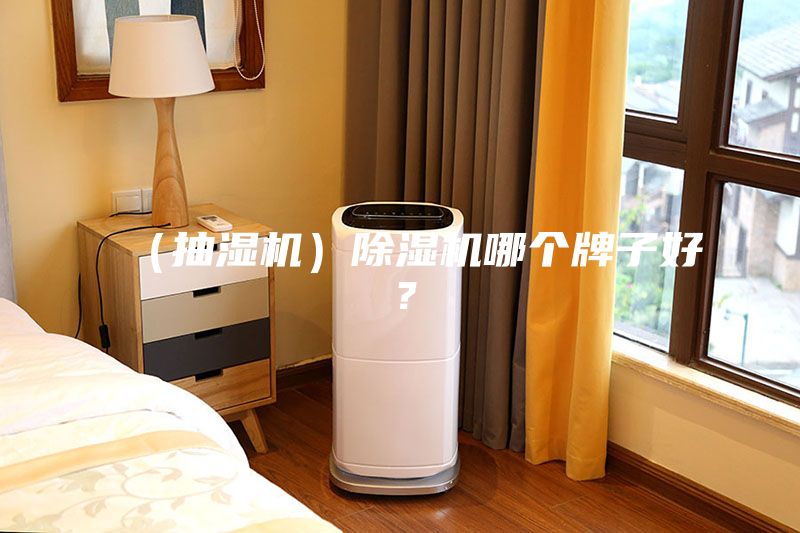 （抽濕機）除濕機哪個牌子好？