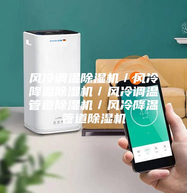 風冷調(diào)溫除濕機/風冷降溫除濕機/風冷調(diào)溫管道除濕機/風冷降溫管道除濕機
