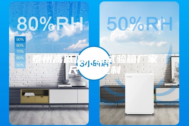 泰州高低溫沖擊試驗箱廠家尺寸可定制