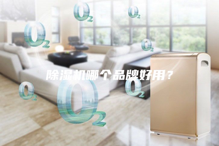 除濕機哪個品牌好用?