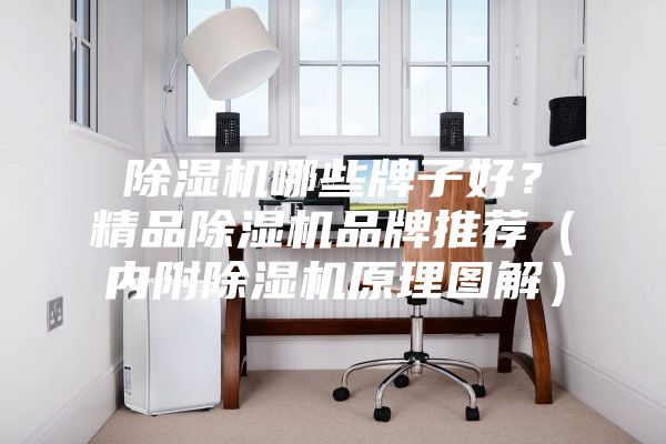 除濕機哪些牌子好?精品除濕機品牌推薦(內(nèi)附除濕機原理圖解)