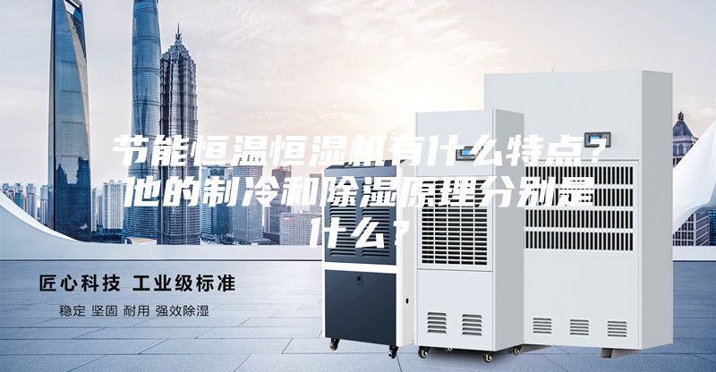 節(jié)能恒溫恒濕機(jī)有什么特點(diǎn)？他的制冷和除濕原理分別是什么？
