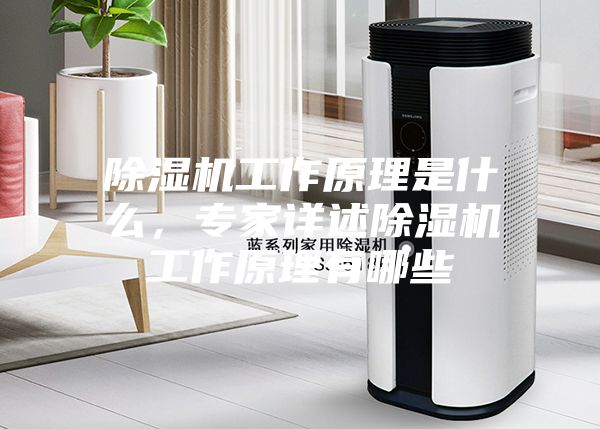 除濕機工作原理是什么，專家詳述除濕機工作原理有哪些