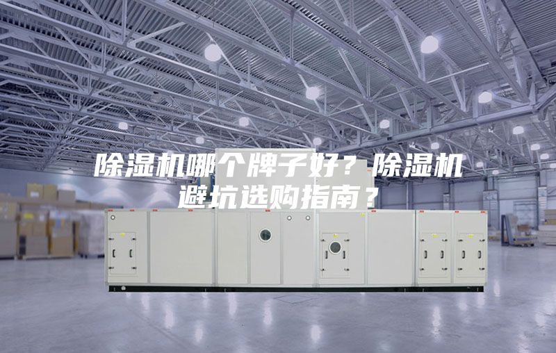 除濕機哪個牌子好？除濕機避坑選購指南？