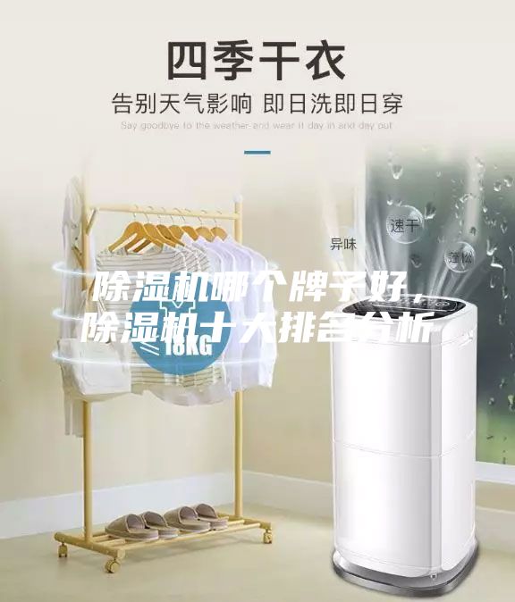 除濕機(jī)哪個牌子好,除濕機(jī)十大排名分析