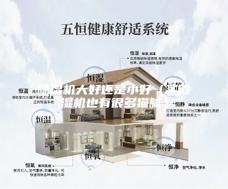 除濕機(jī)大好還是小好(買除濕機(jī)也有很多貓膩)