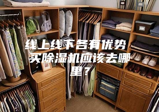 線上線下各有優(yōu)勢 買除濕機(jī)應(yīng)該去哪里？
