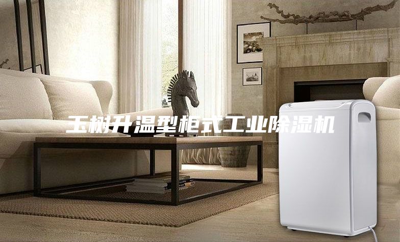 玉樹升溫型柜式工業除濕機