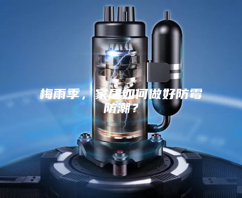 梅雨季，家居如何做好防霉防潮？