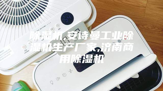 除濕機,安詩曼工業(yè)除濕機生產(chǎn)廠家,濟南商用除濕機