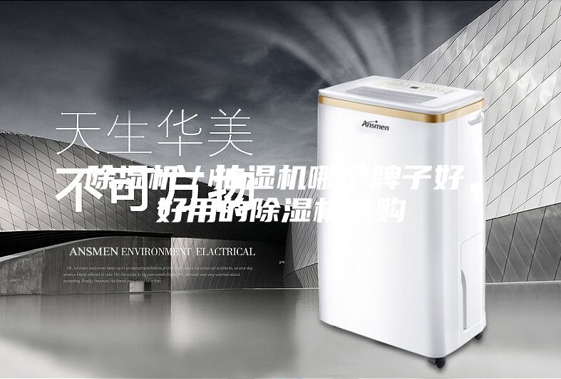 除濕機／抽濕機哪個牌子好，好用的除濕機選購