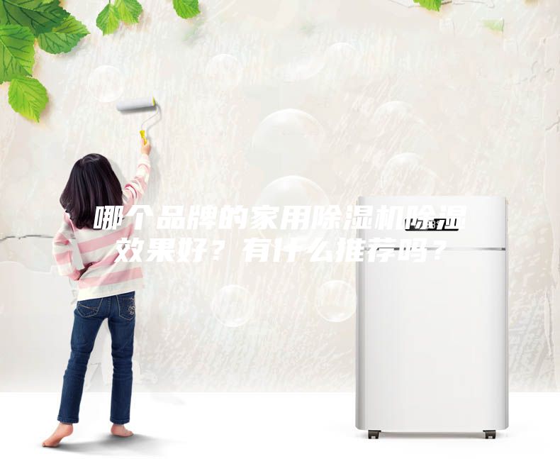 哪個品牌的家用除濕機除濕效果好？有什么推薦嗎？