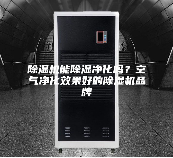 除濕機(jī)能除濕凈化嗎?空氣凈化效果好的除濕機(jī)品牌