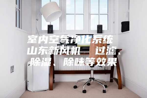 室內(nèi)空氣凈化系統(tǒng) 山東新風(fēng)機  過濾、除濕、除味等效果