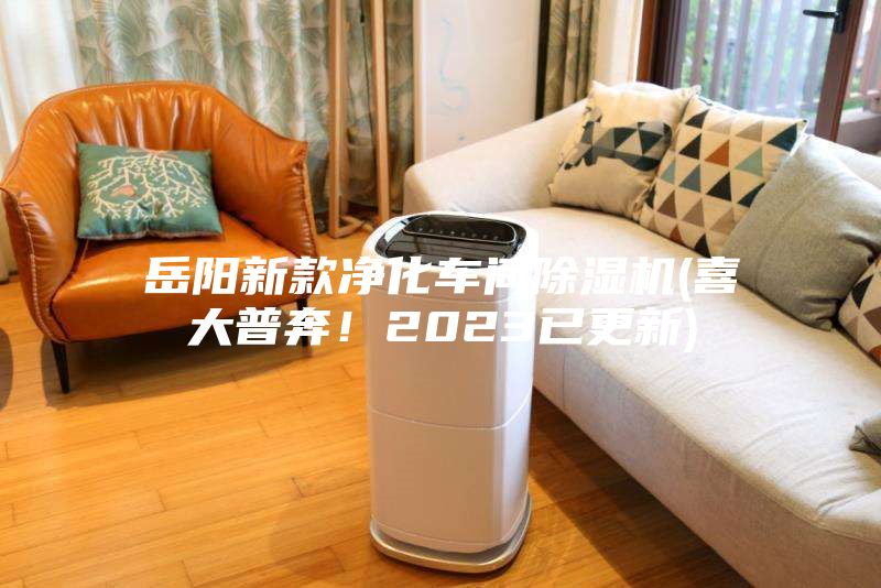 岳陽(yáng)新款凈化車間除濕機(jī)(喜大普奔！2023已更新)