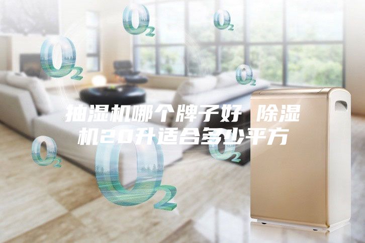 抽濕機(jī)哪個(gè)牌子好 除濕機(jī)20升適合多少平方