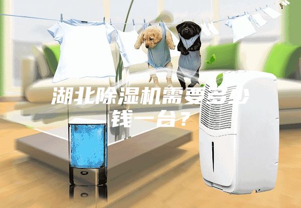湖北除濕機需要多少錢一臺？