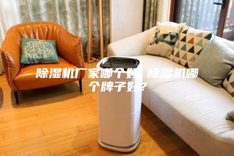 除濕機廠家哪個好 除濕機哪個牌子好?