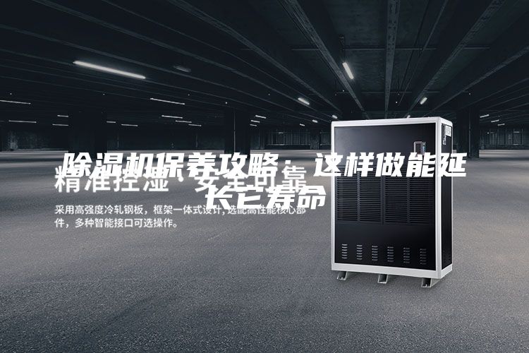 除濕機保養攻略:這樣做能延長它壽命