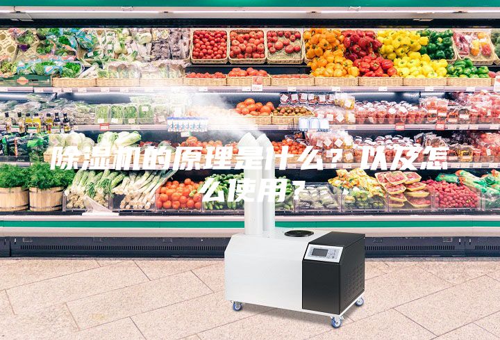 除濕機(jī)的原理是什么？以及怎么使用？