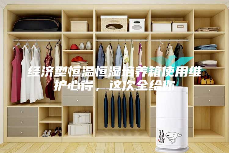 經濟型恒溫恒濕培養箱使用維護心得,這次全給你