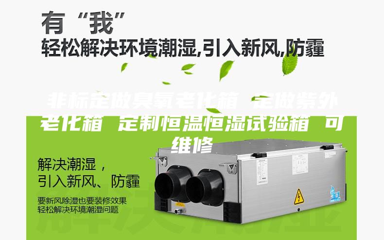 非標(biāo)定做臭氧老化箱 定做紫外老化箱 定制恒溫恒濕試驗箱 可維修