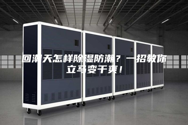 回潮天怎樣除濕防潮？一招教你立馬變干爽！