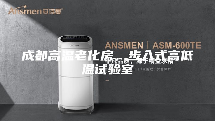 成都高溫老化房，步入式高低溫試驗室