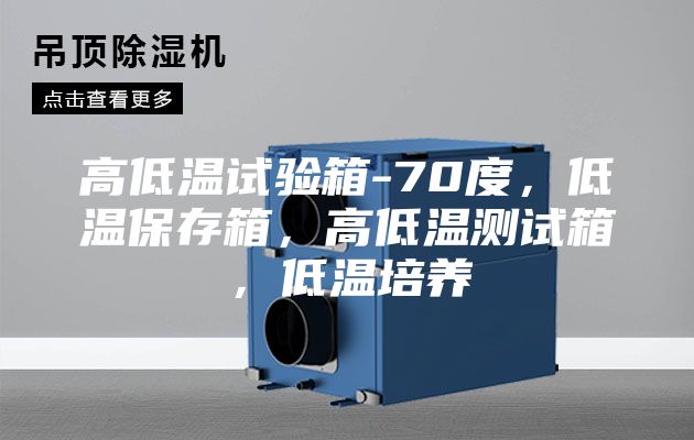 高低溫試驗箱-70度,低溫保存箱,高低溫測試箱,低溫培養(yǎng)