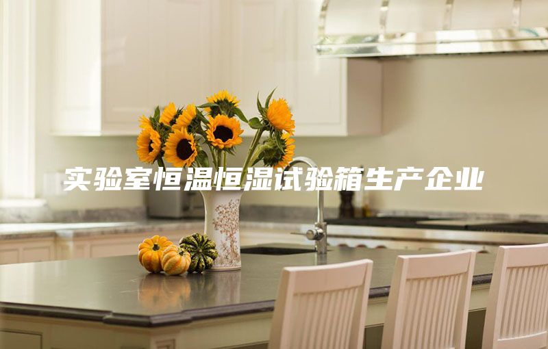 實驗室恒溫恒濕試驗箱生產(chǎn)企業(yè)